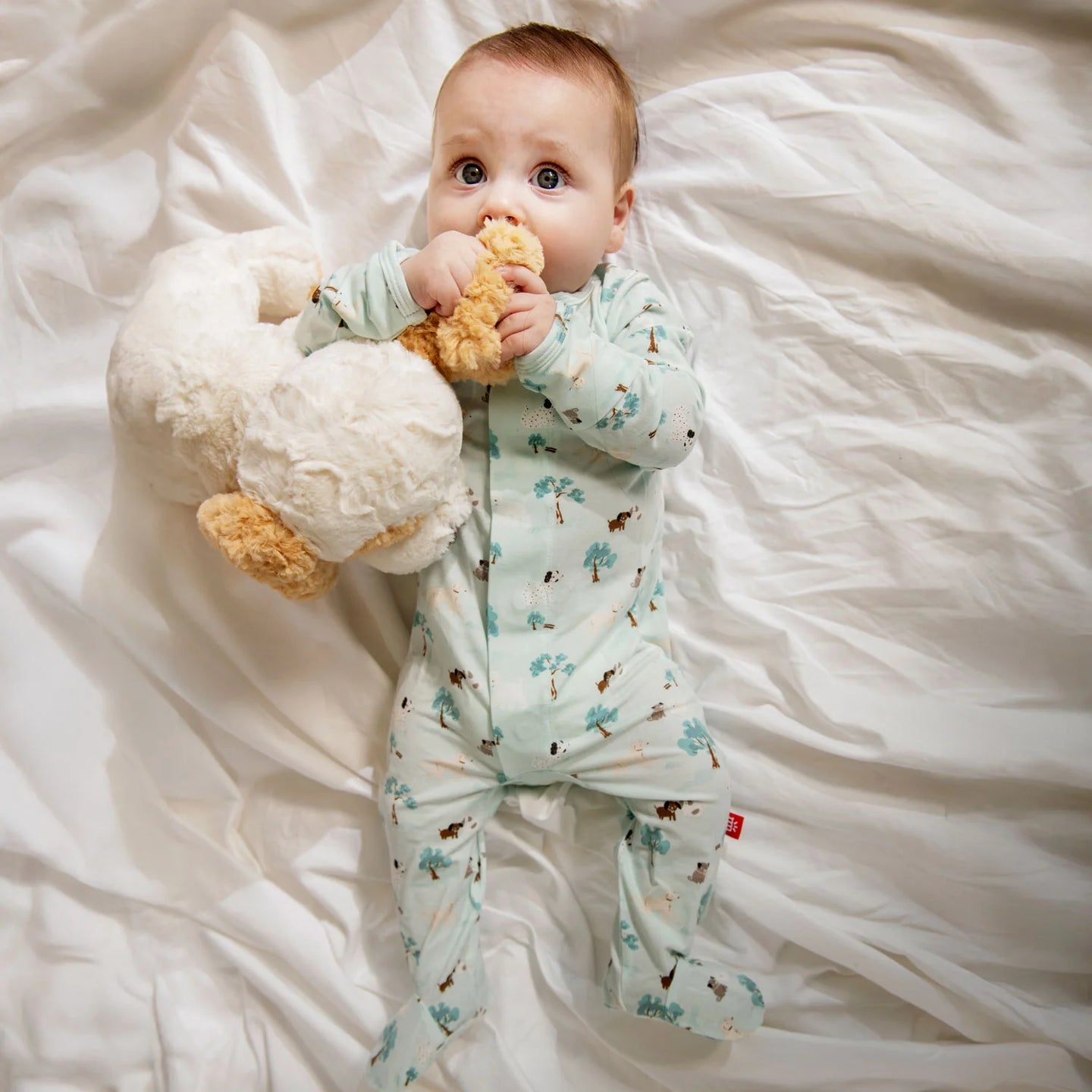 Central Park Magnetic Footie